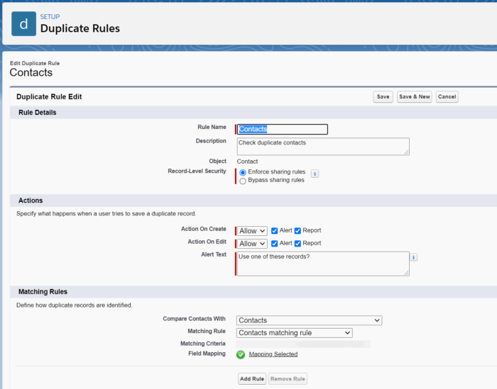 Screenshot of duplicate rules window in Salesforce